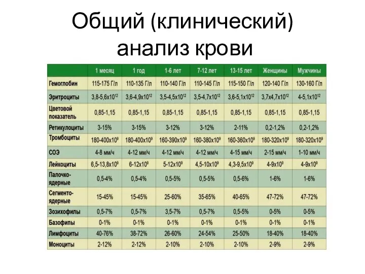 Общий (клинический) анализ крови