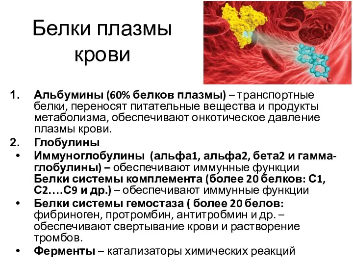 Белки плазмы крови Альбумины (60% белков плазмы) – транспортные белки, переносят питательные