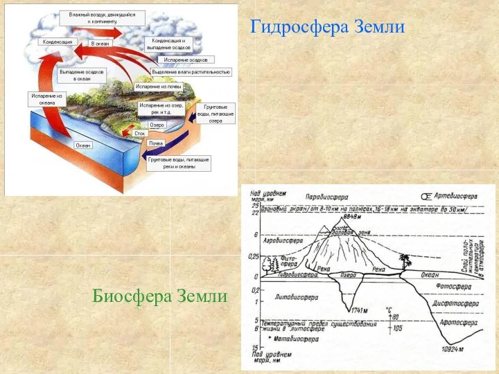 Гидросфера Земли Биосфера Земли