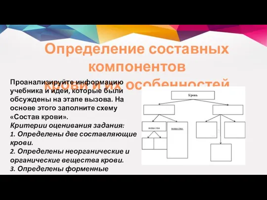 Определение составных компонентов крови и их особенностей Проанализируйте информацию учебника и идеи,