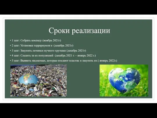 Сроки реализации 1 шаг: Собрать команду (ноябрь 2021г) 2 шаг: Установка террариумов