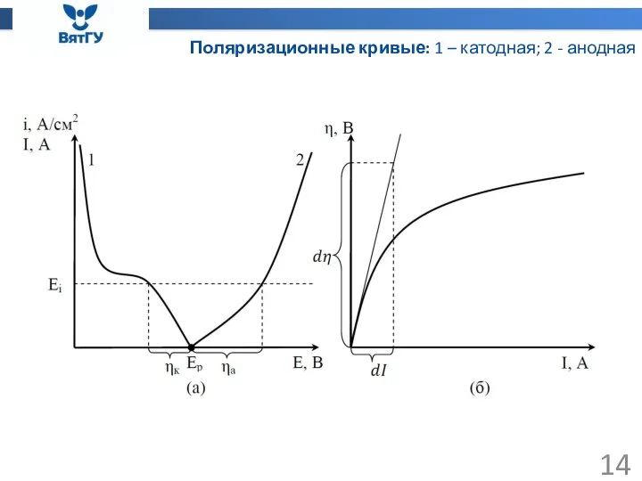 Поляризационные кривые: 1 – катодная; 2 - анодная