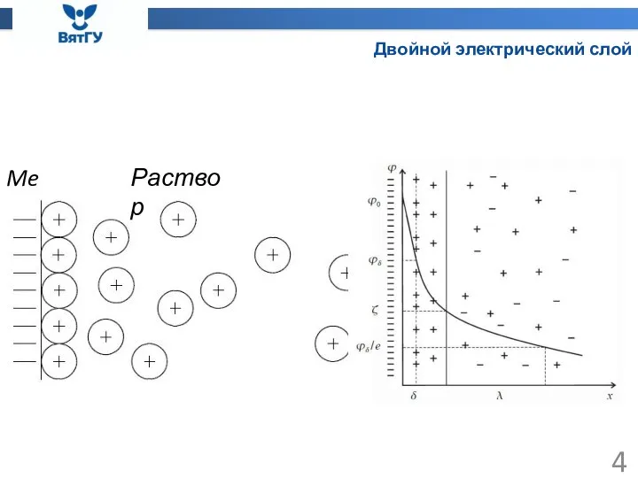 Двойной электрический слой Me Раствор