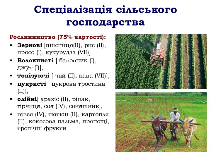 Спеціалізація сільського господарства Рослинництво (75% вартості): Зернові [пшениця(ІІ), рис (ІІ), просо (І),