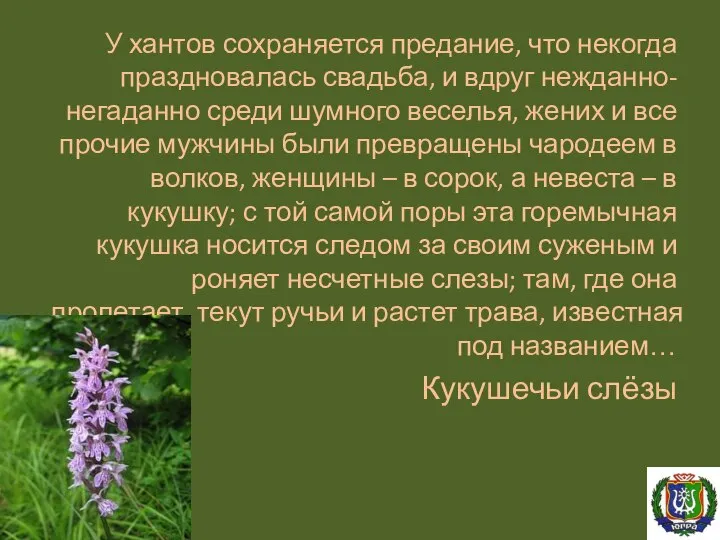 У хантов сохраняется предание, что некогда праздновалась свадьба, и вдруг нежданно-негаданно среди