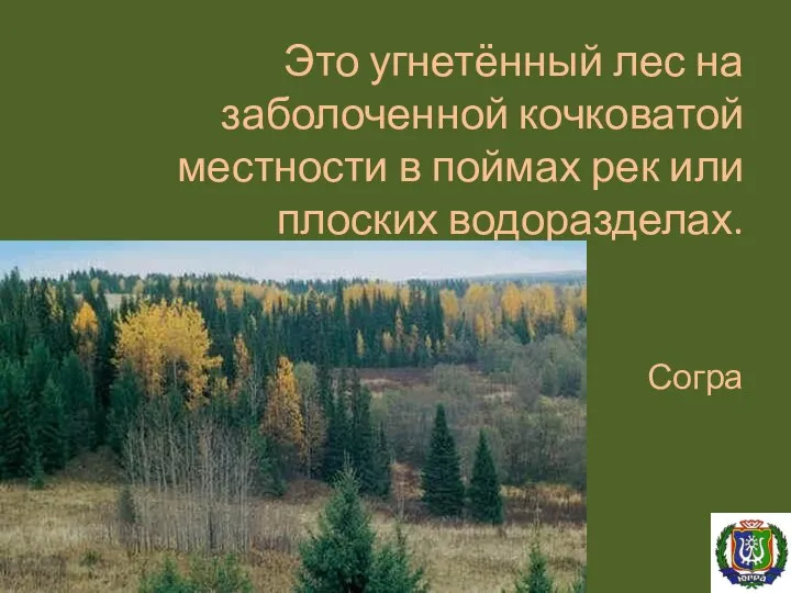 Это угнетённый лес на заболоченной кочковатой местности в поймах рек или плоских водоразделах. Согра