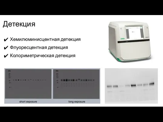 Детекция Хемилюминисцентная детекция Флуоресцентная детекция Колориметрическая детекция