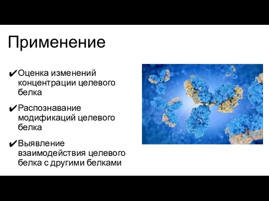 Применение Оценка изменений концентрации целевого белка Распознавание модификаций целевого белка Выявление взаимодействия