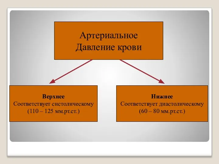 Артериальное Давление крови Верхнее Соответствует систолическому (110 – 125 мм.рт.ст.) Нижнее Соответствует