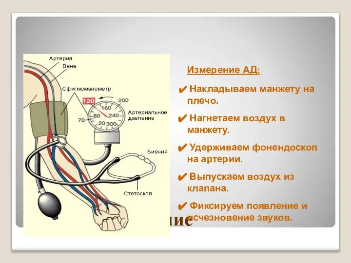 Кровяное давление Измерение АД: Накладываем манжету на плечо. Нагнетаем воздух в манжету.