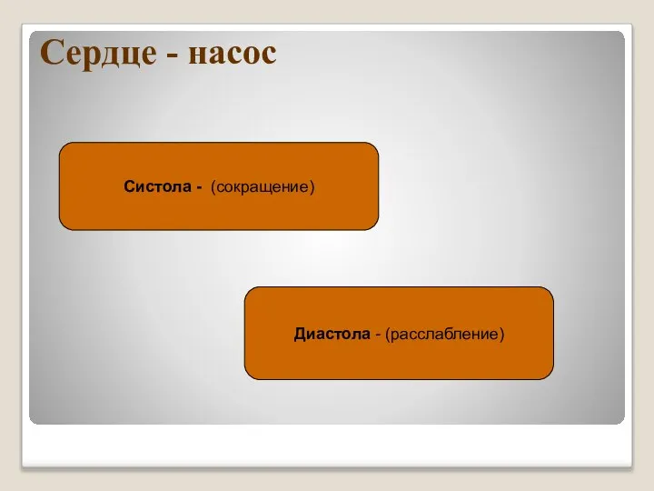 Сердце - насос Систола - (сокращение) Диастола - (расслабление)