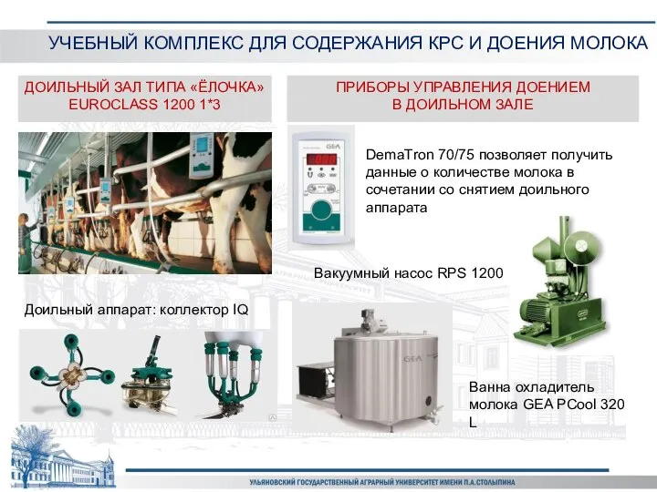 УЧЕБНЫЙ КОМПЛЕКС ДЛЯ СОДЕРЖАНИЯ КРС И ДОЕНИЯ МОЛОКА ДОИЛЬНЫЙ ЗАЛ ТИПА «ЁЛОЧКА»