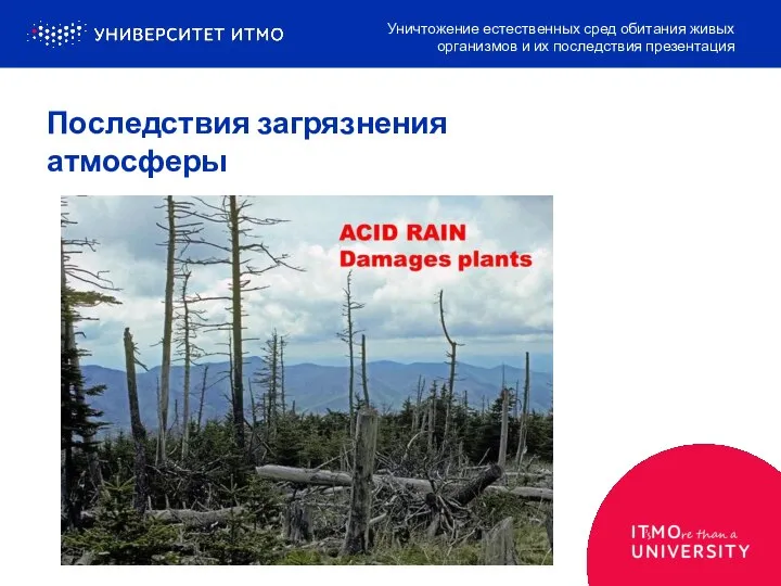 Последствия загрязнения атмосферы Уничтожение естественных сред обитания живых организмов и их последствия презентация