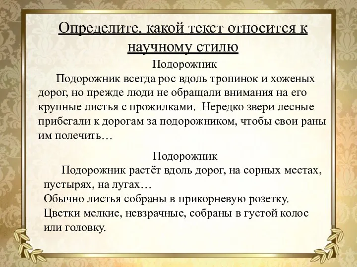 Подорожник Подорожник всегда рос вдоль тропинок и хоженых дорог, но прежде люди