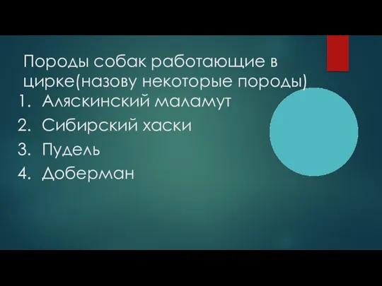 Породы собак работающие в цирке(назову некоторые породы) Аляскинский маламут Сибирский хаски Пудель Доберман