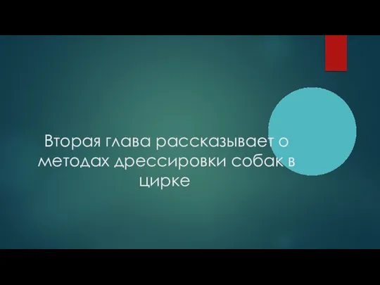 Вторая глава рассказывает о методах дрессировки собак в цирке