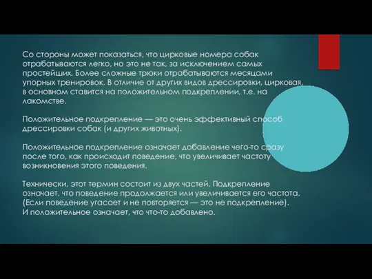 Со стороны может показаться, что цирковые номера собак отрабатываются легко, но это