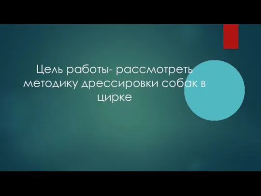 Цель работы- рассмотреть методику дрессировки собак в цирке