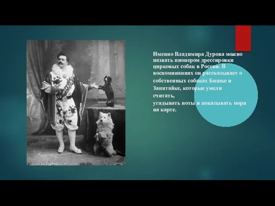 Именно Владимира Дурова можно назвать пионером дрессировки цирковых собак в России. В