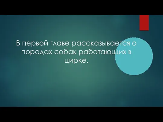 В первой главе рассказывается о породах собак работающих в цирке.