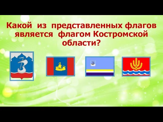 Какой из представленных флагов является флагом Костромской области?