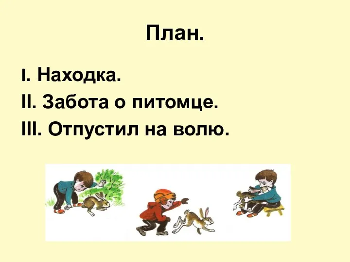 План. I. Находка. II. Забота о питомце. III. Отпустил на волю.