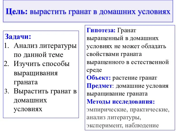 Цель: вырастить гранат в домашних условиях Задачи: Анализ литературы по данной теме