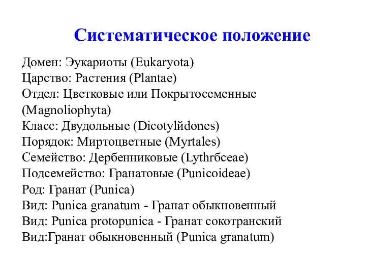 Систематическое положение Домен: Эукариоты (Eukaryota) Царство: Растения (Plantae) Отдел: Цветковые или Покрытосеменные