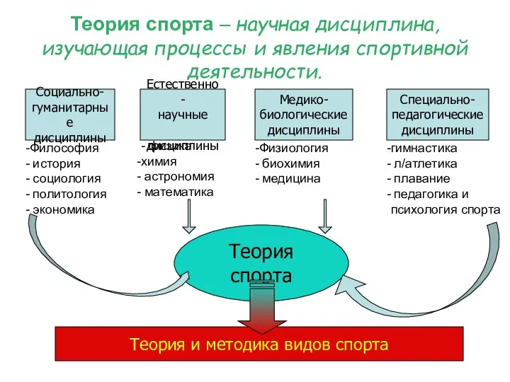 Теория спорта – научная дисциплина, изучающая процессы и явления спортивной деятельности. Социально-