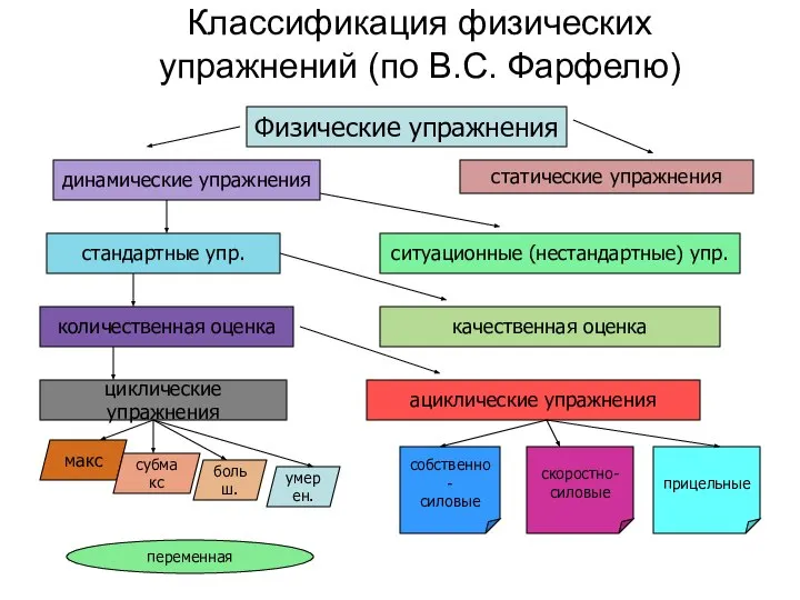 Классификация физических упражнений (по В.С. Фарфелю) Физические упражнения динамические упражнения статические упражнения