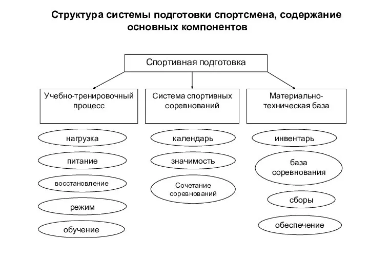 Структура системы подготовки спортсмена, содержание основных компонентов