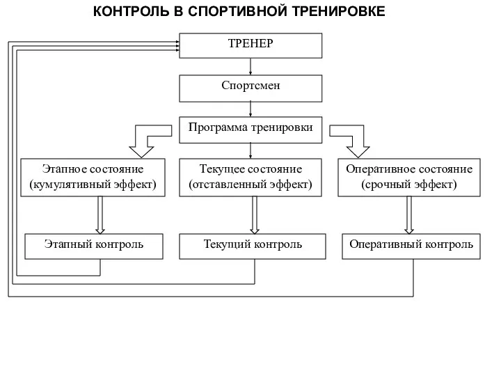 ТРЕНЕР Спортсмен Программа тренировки Оперативное состояние (срочный эффект) Текущее состояние (отставленный эффект)