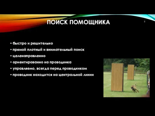 ПОИСК ПОМОЩНИКА быстро и решительно прямой плотный и внимательный поиск целенаправленно ориентированно