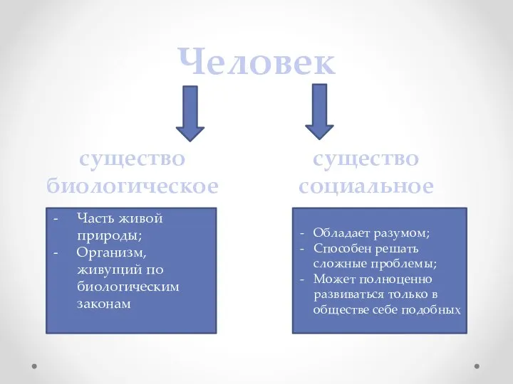 Человек Часть живой природы; Организм, живущий по биологическим законам Обладает разумом; Способен