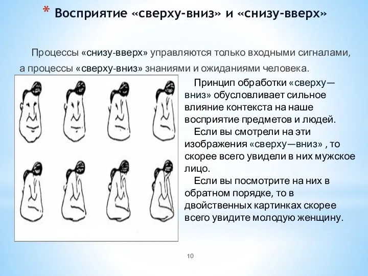 Восприятие «сверху-вниз» и «снизу-вверх» Процессы «снизу-вверх» управляются только входными сигналами, а процессы