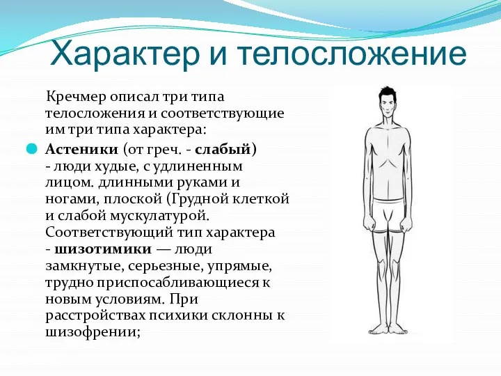 Кречмер описал три типа телосложения и соответствующие им три типа характера: Астеники