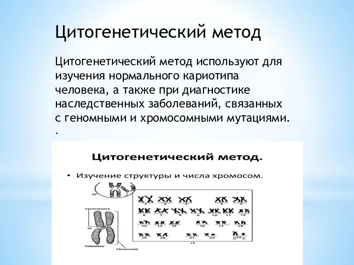 Цитогенетический метод Цитогенетический метод используют для изучения нормального кариотипа человека, а также