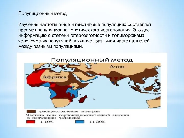 Популяционный метод Изучение частоты генов и генотипов в популяциях составляет предмет популяционно-генетического