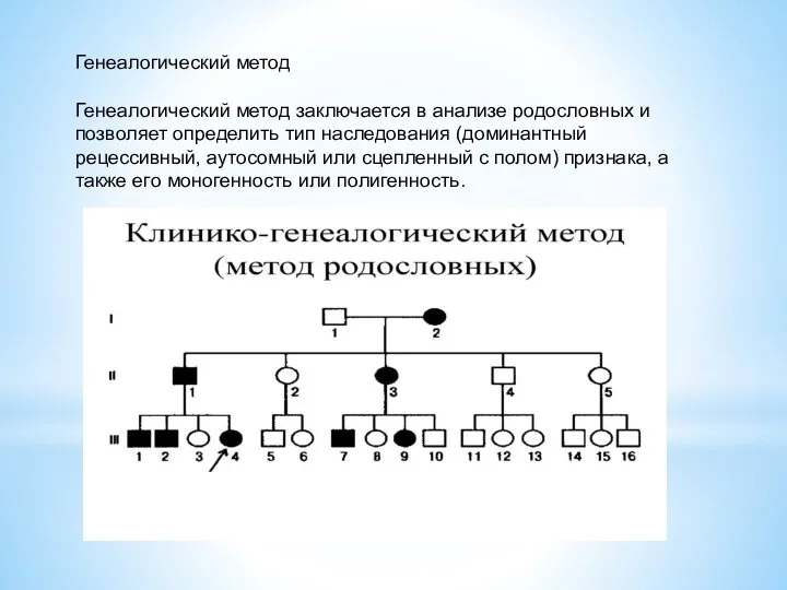 Генеалогический метод Генеалогический метод заключается в анализе родословных и позволяет определить тип