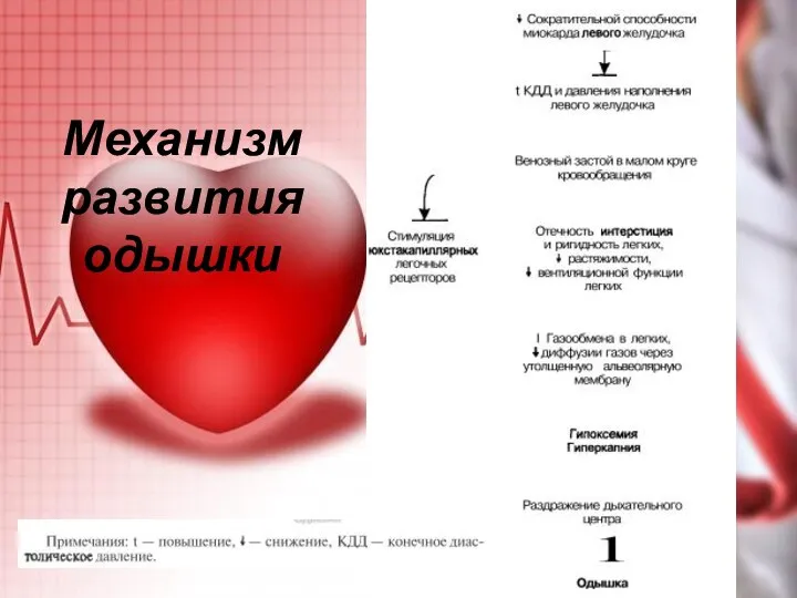 Механизм развития одышки