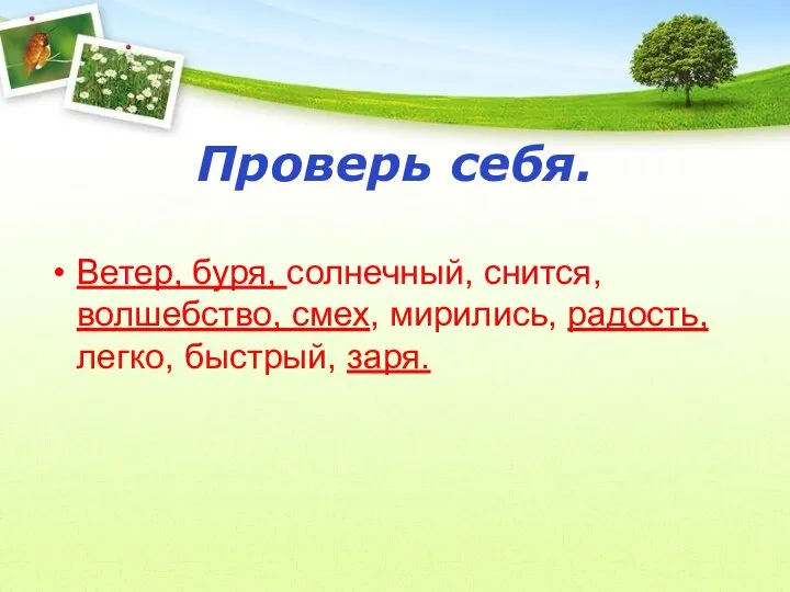 Проверь себя. Ветер, буря, солнечный, снится, волшебство, смех, мирились, радость, легко, быстрый, заря.