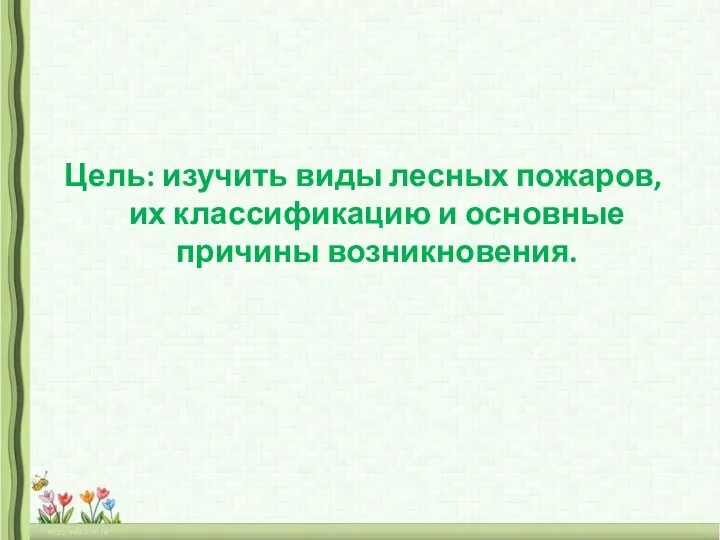 Цель: изучить виды лесных пожаров, их классификацию и основные причины возникновения.