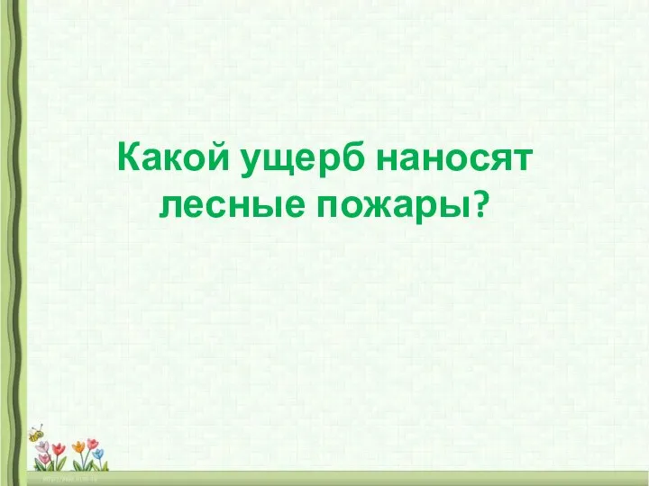 Какой ущерб наносят лесные пожары?