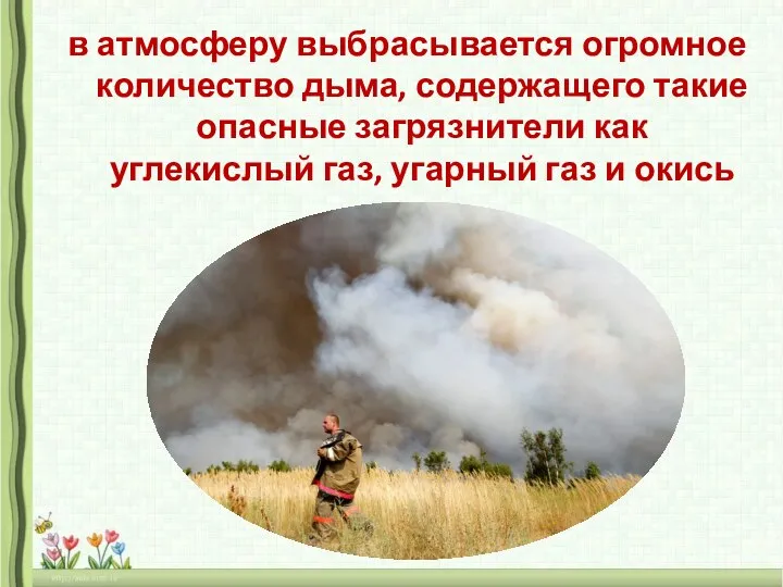 в атмосферу выбрасывается огромное количество дыма, содержащего такие опасные загрязнители как углекислый