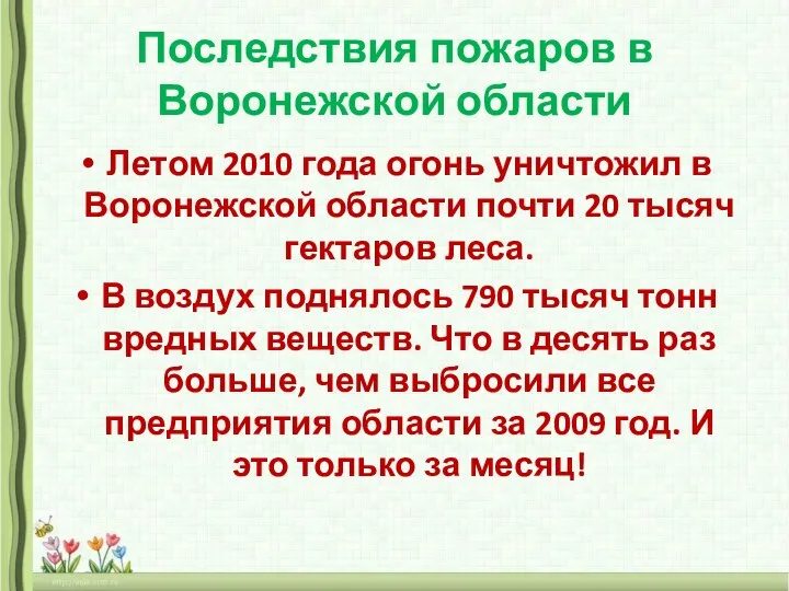 Последствия пожаров в Воронежской области Летом 2010 года огонь уничтожил в Воронежской