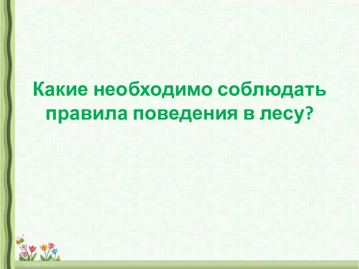 Какие необходимо соблюдать правила поведения в лесу?