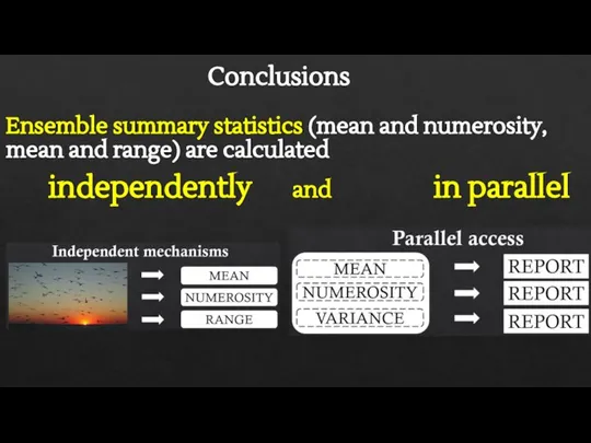 Conclusions Ensemble summary statistics (mean and numerosity, mean and range) are calculated independently and in parallel