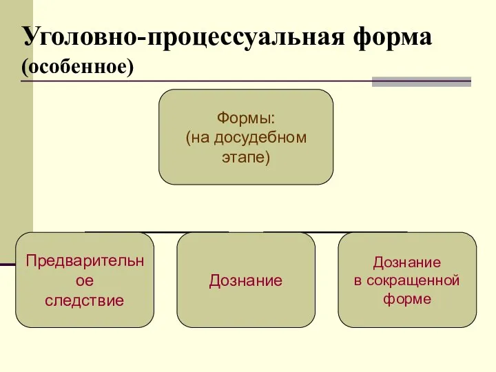 Уголовно-процессуальная форма (особенное)