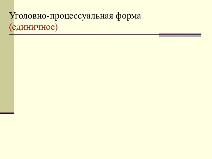 Уголовно-процессуальная форма (единичное)