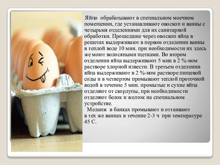 Яйцо обрабатывают в специальном моечном помещении, где устанавливают овоскоп и ванны с